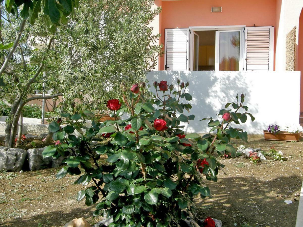 Apartment Maslina-2 By Interhome Srima Εξωτερικό φωτογραφία